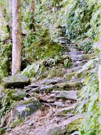 พุทธอุทยานดอยจิกจ้องฆ้องคำ