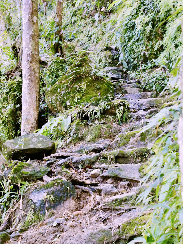 พุทธอุทยานดอยจิกจ้องฆ้องคำ พุทธอุทยานดอยจิกจ้องฆ้องคำ