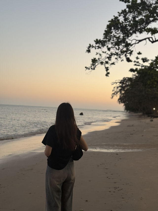 เที่ยวบ้านต้นไม้ริมทะเล ใกล้สนามบินชุมพร 