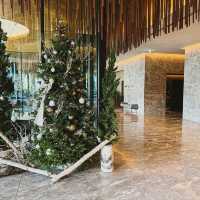 Elevated Ease & Urban Stillness