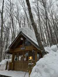 ❄️ Hokkaido Winter Wonder: Sapporo, Asahikawa & Otaru (7 Days)