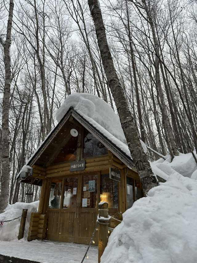 ❄️ Hokkaido Winter Wonder: Sapporo, Asahikawa & Otaru (7 Days) ❄️ Hokkaido Winter Wonder: Sapporo, Asahikawa & Otaru (7 Days)