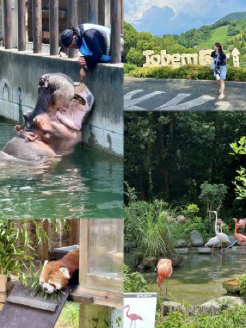 Tobe Zoo, a great day trip from Matsuyama 🐾