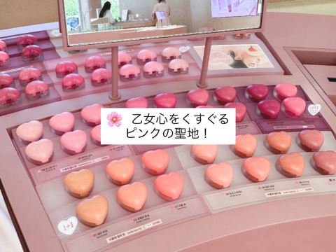 韓コスドラッグストア オリーブヤングNソンス4階の 📍 オリーブ