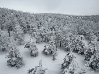 Tohoku, Japan - Zao Snow Monsters.