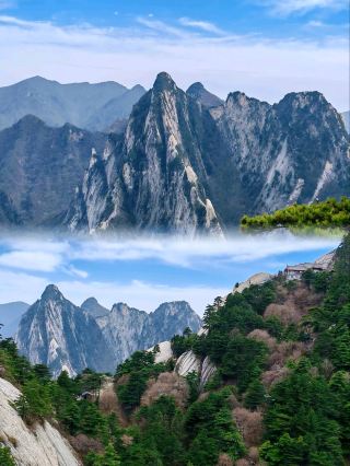 澄み渡る青空と山頂の桜の約束——華山。