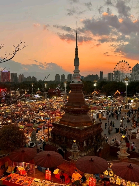 告庄星光夜市 参考图 4