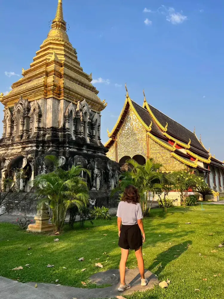 🌿 タイ北部:国内で最も過小評価されている地域🇹🇭