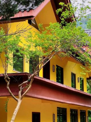 🏯 Wenquan Temple | A Historic Sanctuary Beneath Huangshan