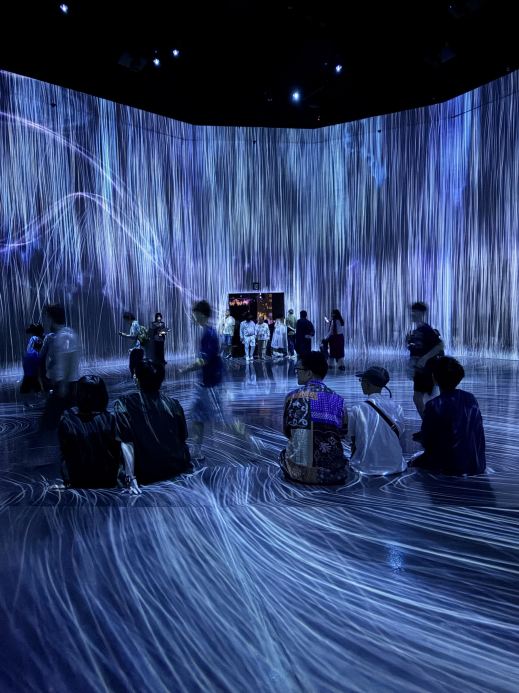 Immerse yourself in light and art at teamLab Borderless Azabudai
