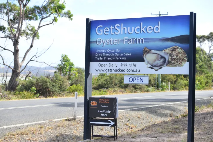 The Ultimate Guide to Bruny Island: Tasmania’s Must-Visit Island Paradise!