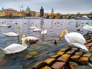 A Christmas fairy tale in Prague 🇨🇿
