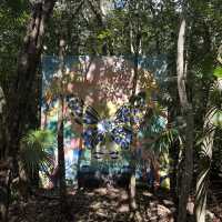 🎭 Free Art in Tulum 💕