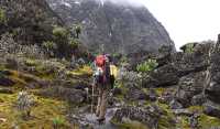 HIKING TOURS IN UGANDA