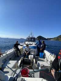 🐟高知の秘境アイランド🇯🇵【鵜来島（うぐるしま）】海に癒される旅