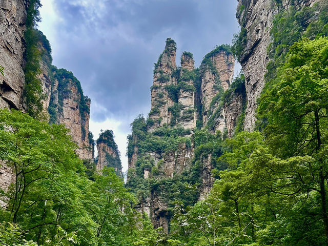 Exploring the Avatar World ⛰️🌏