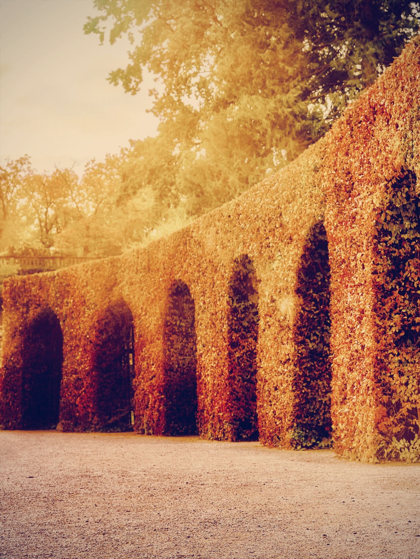 Schönbronn’s Palace Costs €29 — the Garden Behind It Is Free and Bigger