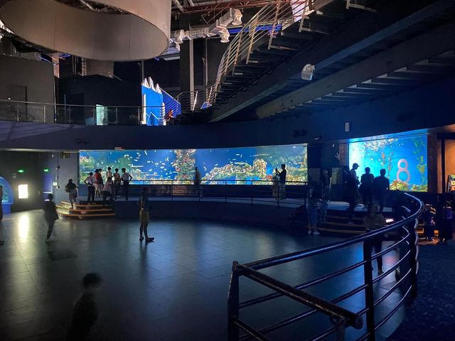 Manila Ocean Park 🐟