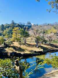 【滋賀県/玄宮園】