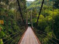 Khao Sok National Park 🇹🇭