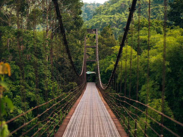 Khao Sok National Park 🇹🇭