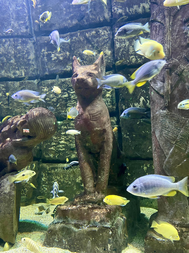 Dive into Antalya Aquarium, Türkiye 🐠