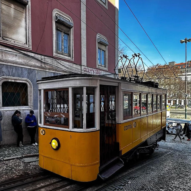 I love trams 🗺️
