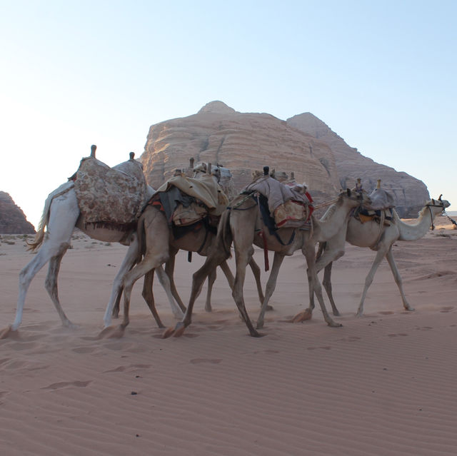 Wadi Rum Experience 🌵🐪