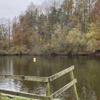 Sailing Serenity: A Lake Windermere Boat Adventure