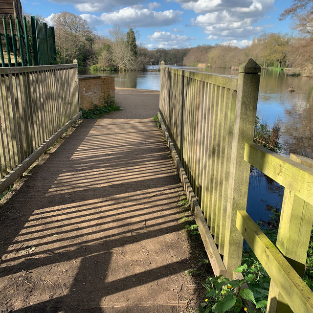 Beautiful nature walk in Highams Park 