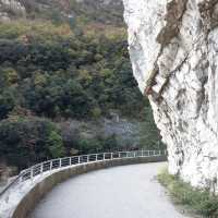 Cycling on the edge 