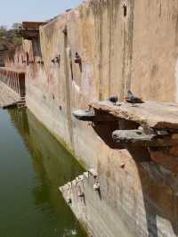 Amber Palace, Jaipur: A Majestic Fortification of Rajasthan