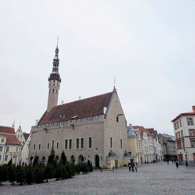 Can you do Tallinn in 36 hours? Absolutely!
