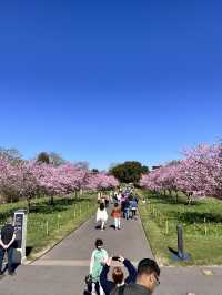 Beautiful Kew Gardens visit at least once!!