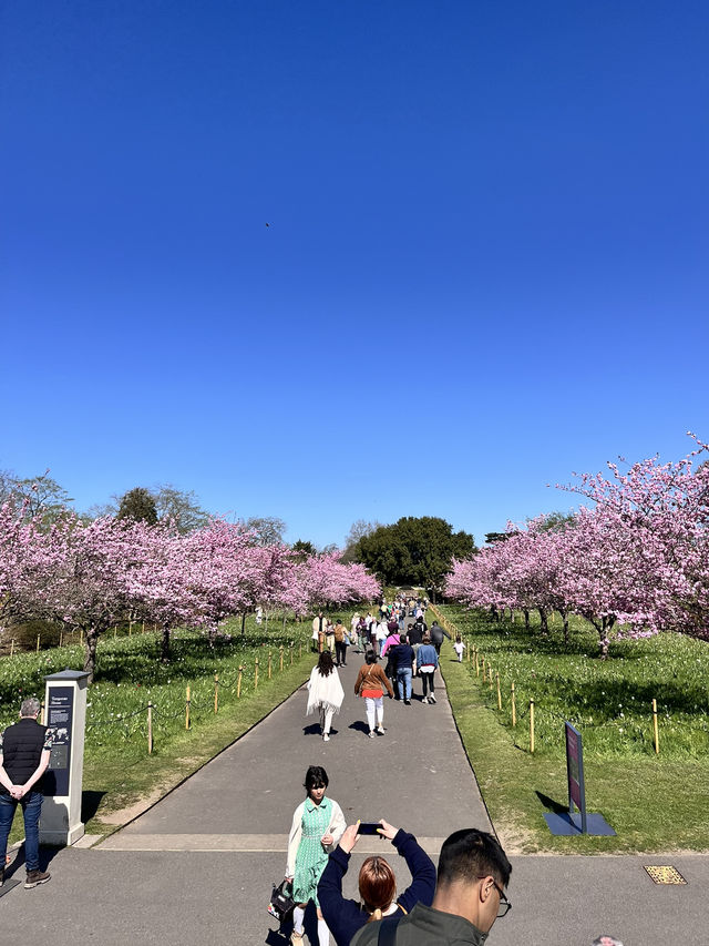 Beautiful Kew Gardens visit at least once!!