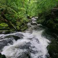 lake District 
