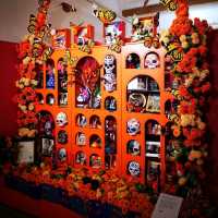 Leeds City Museum: A Cultural Gem in the Heart of Leeds