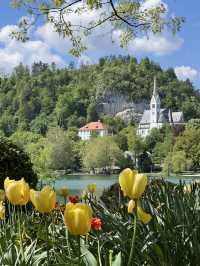 🇸🇮 斯洛維尼亞布萊德（Bled） 🚲