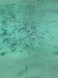 2-days escape from urban life: Racha Island