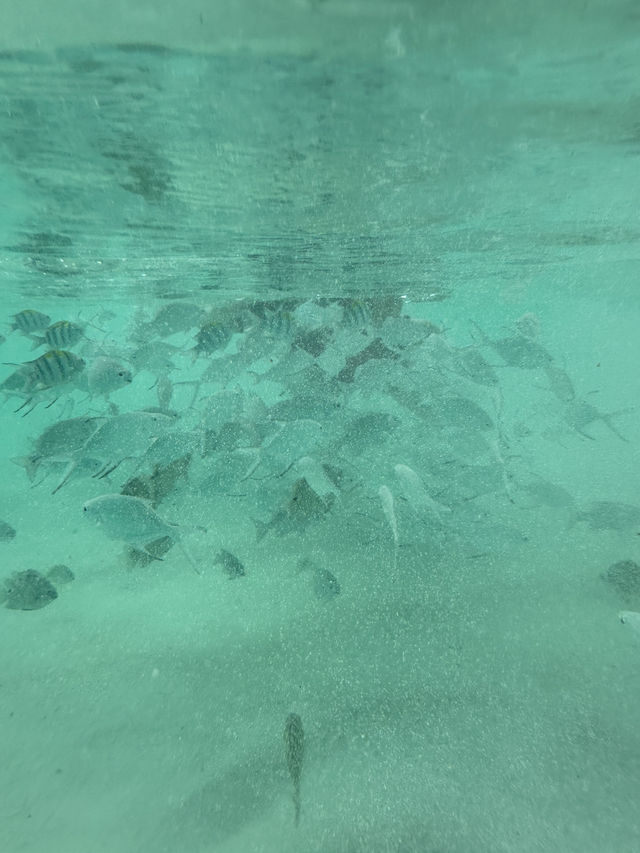 2-days escape from urban life: Racha Island