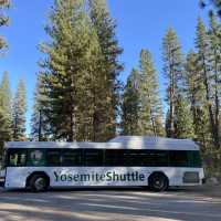 🏕️ Where to Stay in & Around Yosemite National Park 🏞️