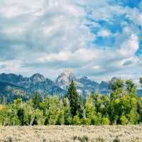 🏞️ Top Hikes in Grand Teton National Park
