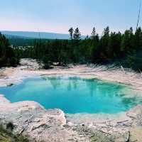 🚗🌲 Top Transportation Tips for Exploring Yellowstone National Park