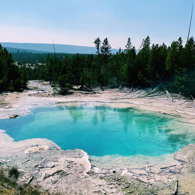 🚗🌲 Top Transportation Tips for Exploring Yellowstone National Park