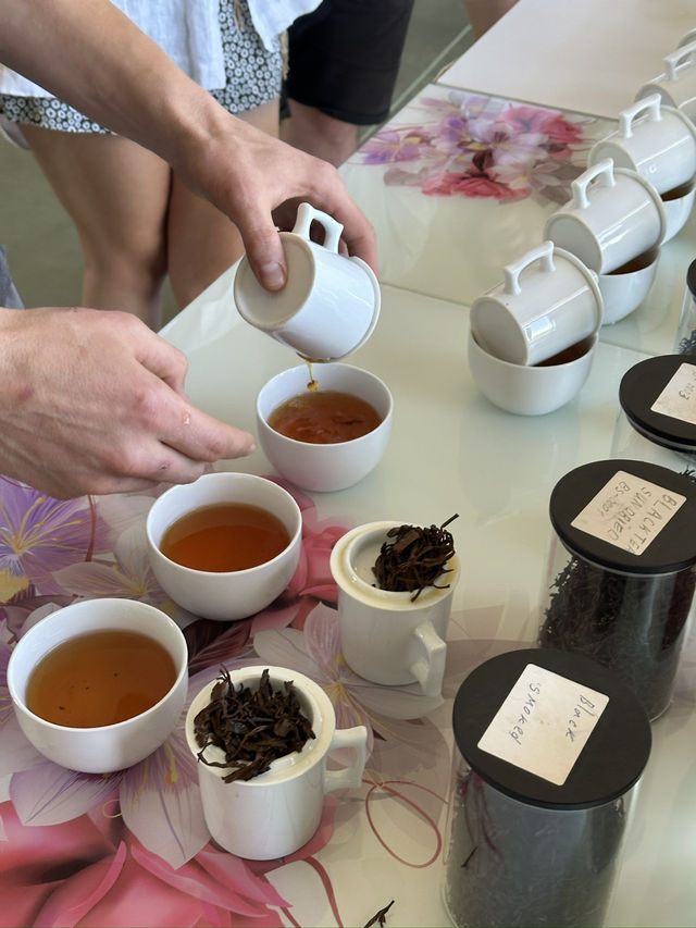 Tea tasting in Georgia 