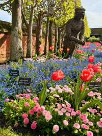 🌷 Hampton Court Palace in Bloom – The Best Time to Visit! 👑
