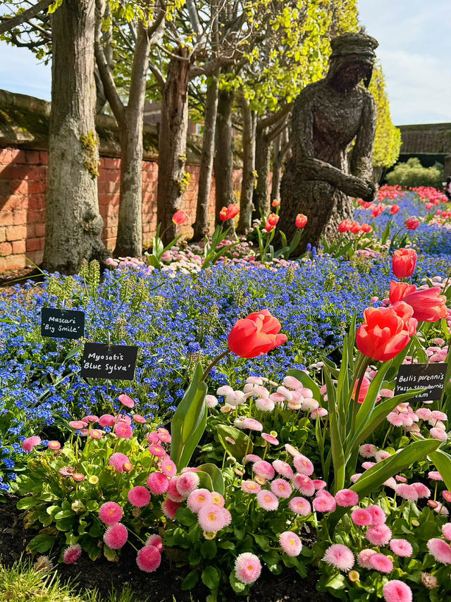 🌷 Hampton Court Palace in Bloom – The Best Time to Visit! 👑