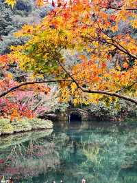 🍁 Red Leaves & Romance in Longjing Village, Hangzhou 🍂