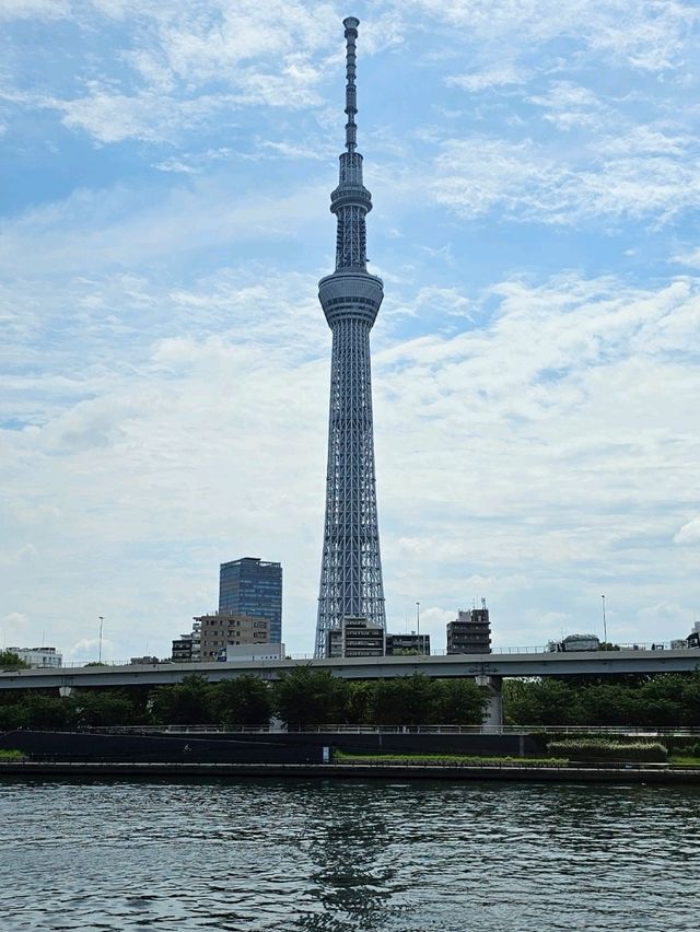 🗼 Where to Stay in Tokyo (First-Time Visitors)