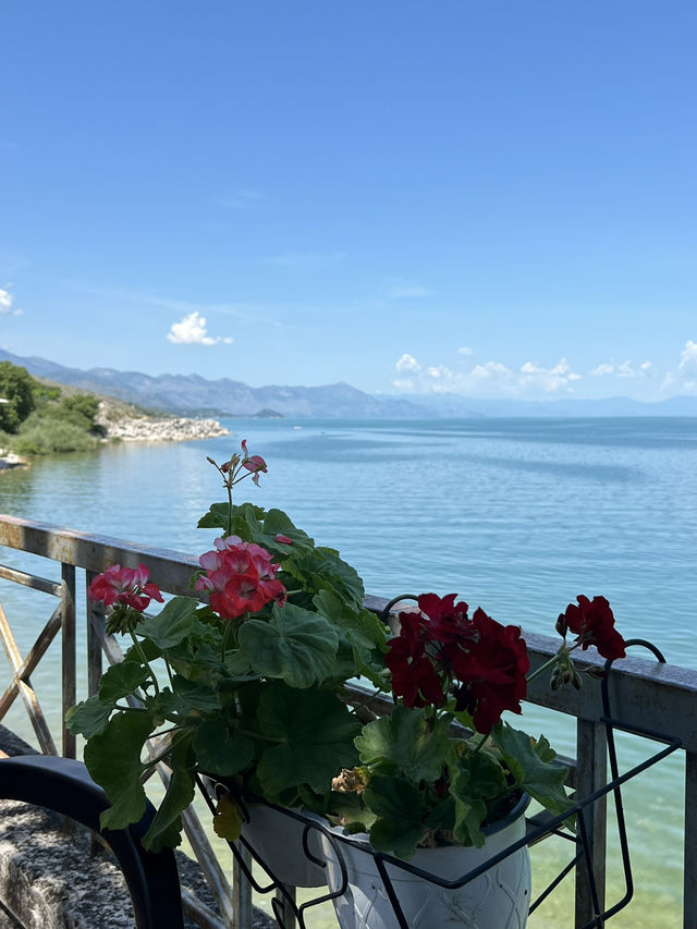 Moments by Albania’s Largest Lake 🇦🇱